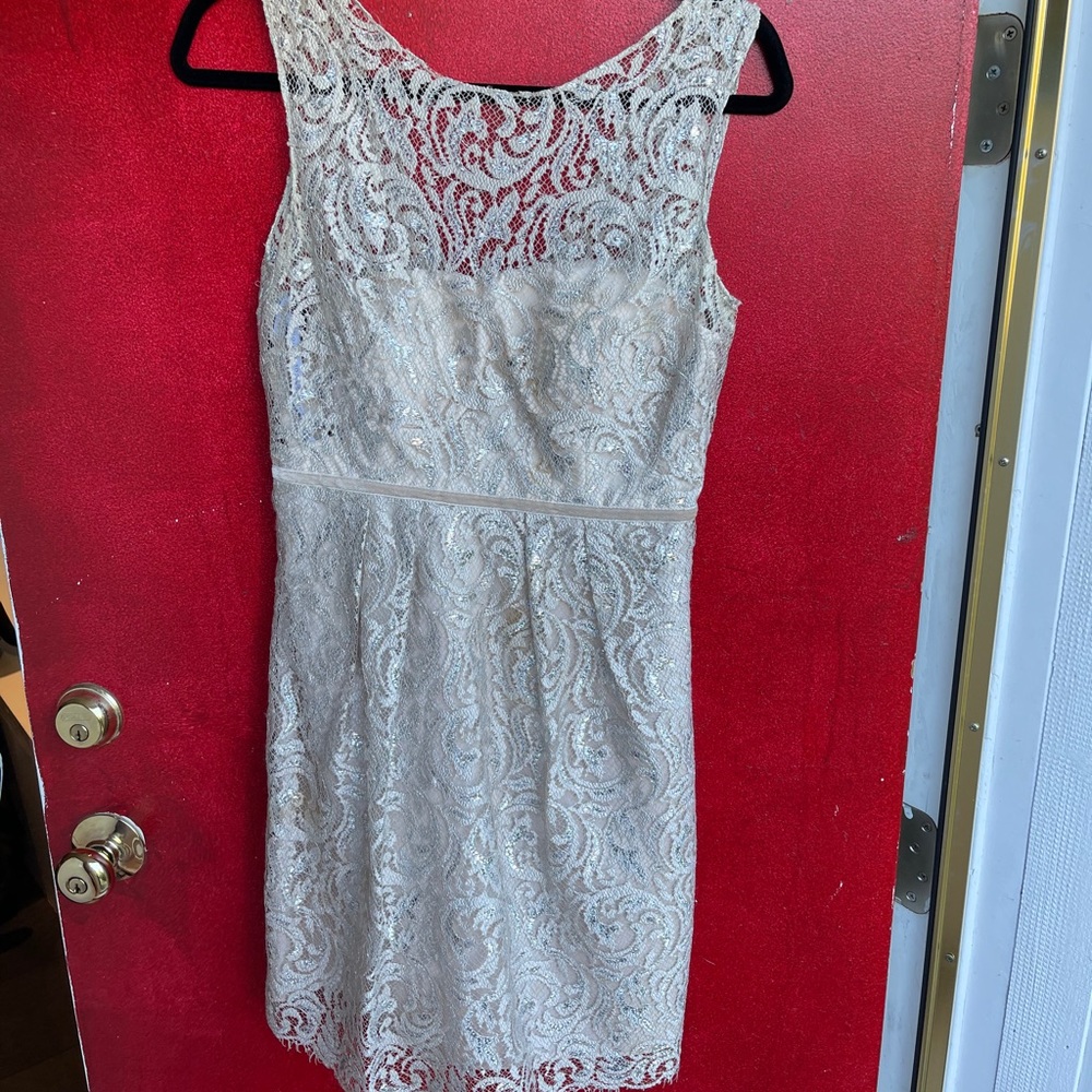 BHLDN Jenny Yoo formal dress, blush and silver